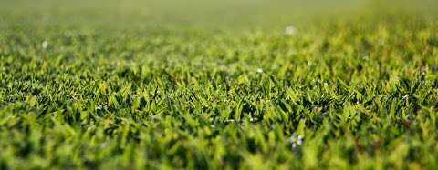 Photo: Wild Horse Turf Photo: Wild Horse Turf
